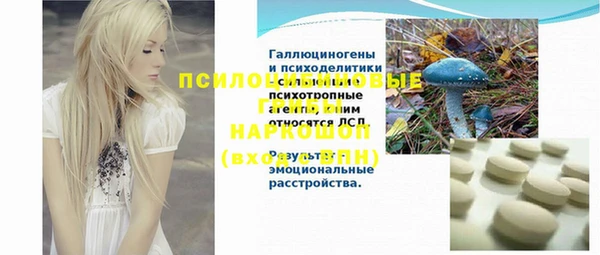 молекула духа Вязники