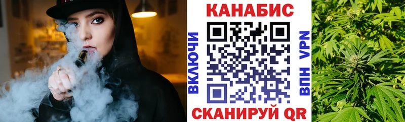 Бошки марихуана сатива  omg рабочий сайт  Железногорск 